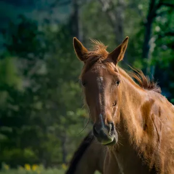 专业服务形象展示